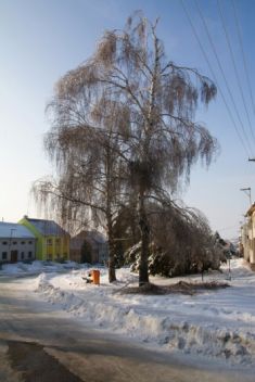 Zima 2010 Tetětice